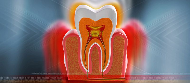 Endodontologie